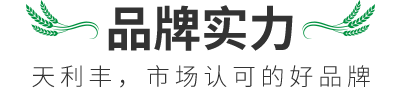 品牌实力