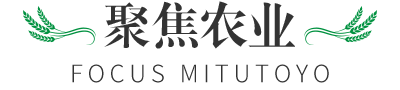 聚焦三丰